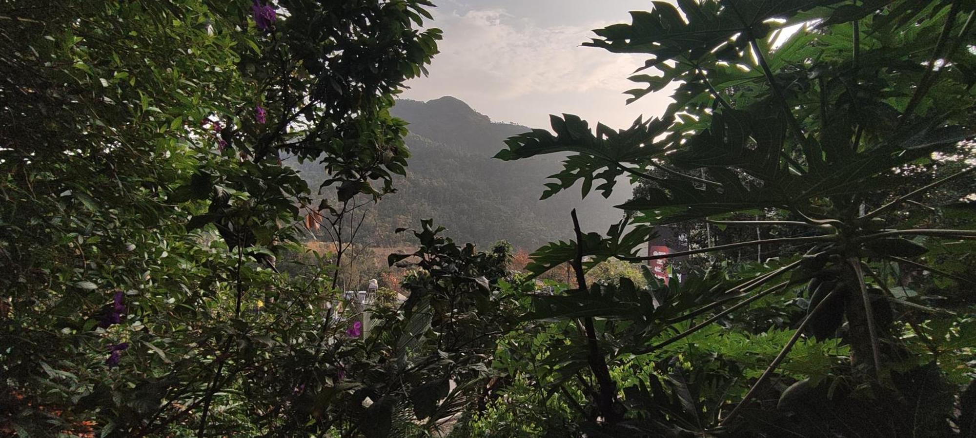 Koonamparayil Home Stay Munnar Anaviratty-Family Only 외부 사진